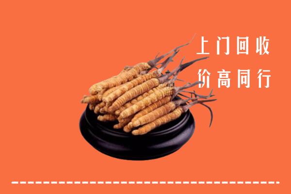 高价求购：盘锦双台子回收散虫草