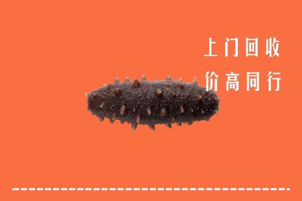 高价求购：盘锦双台子回收海参
